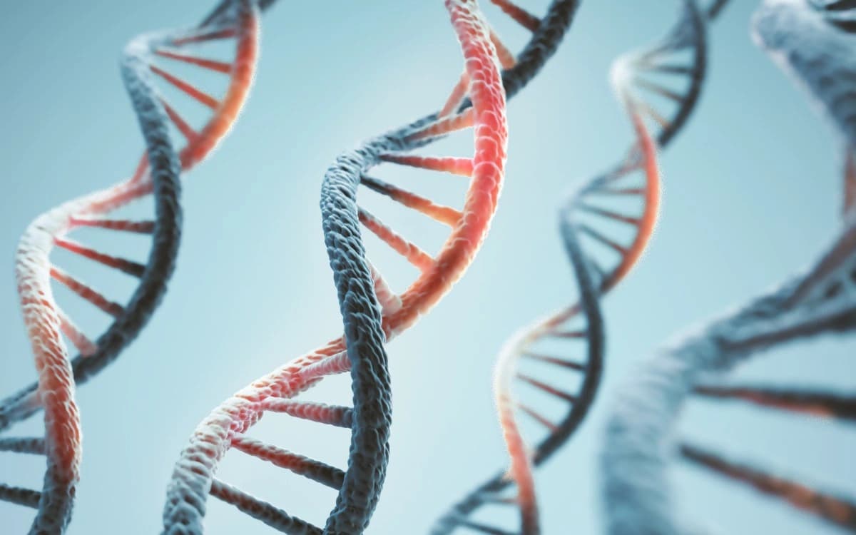 Anthropic revela laboratório de biologia e planos para curar doenças com inteligência artificial