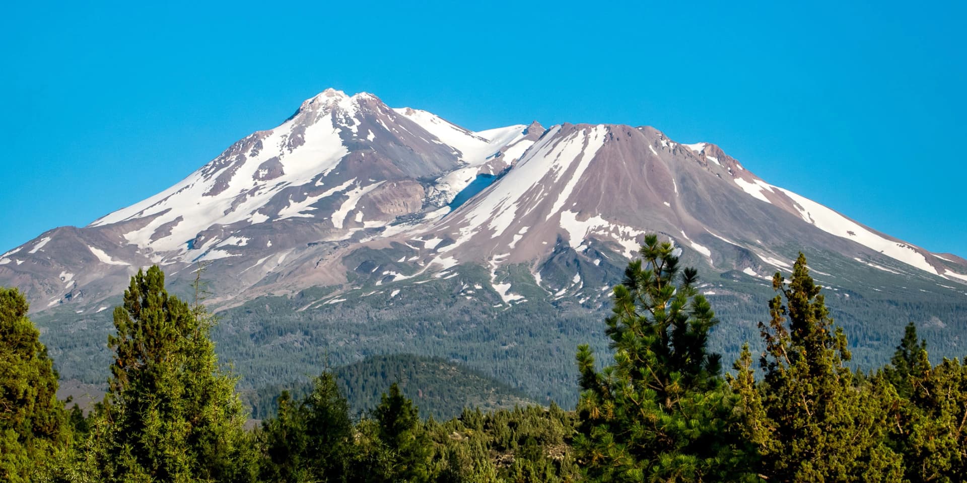 Monte Shasta sob céu azul, com neve e árvores em primeiro plano