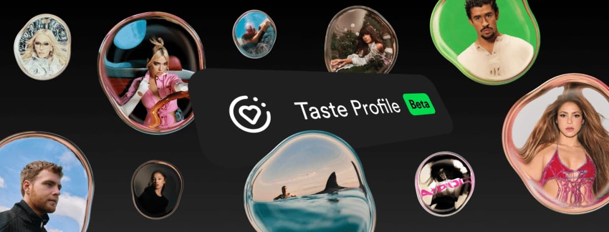 Tela visual do recurso Taste Profile do Spotify