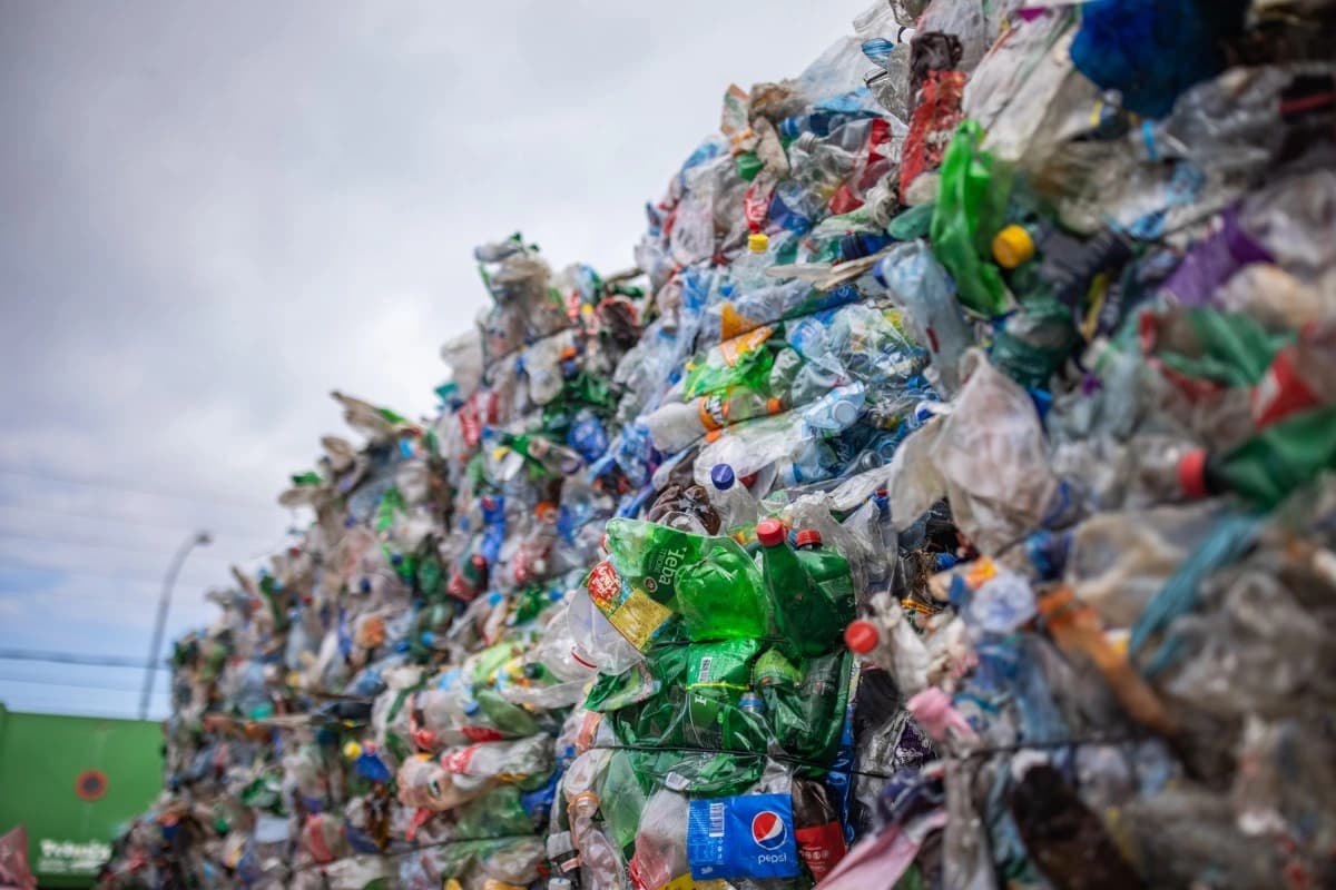 Garrafas plásticas recolhidas e compactadas para reciclagem