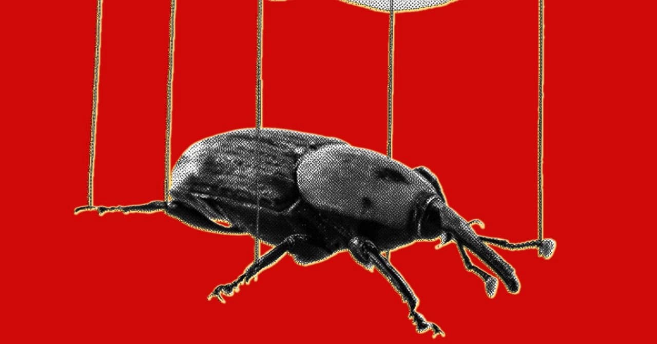 Ilustração sobre vulnerabilidades do PHP exploradas com ajuda de inteligência artificial