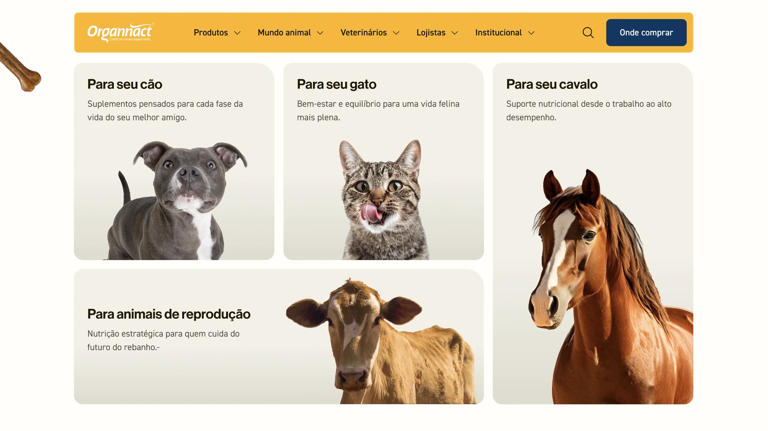 Uma nova casa digital para cada público da Organnact