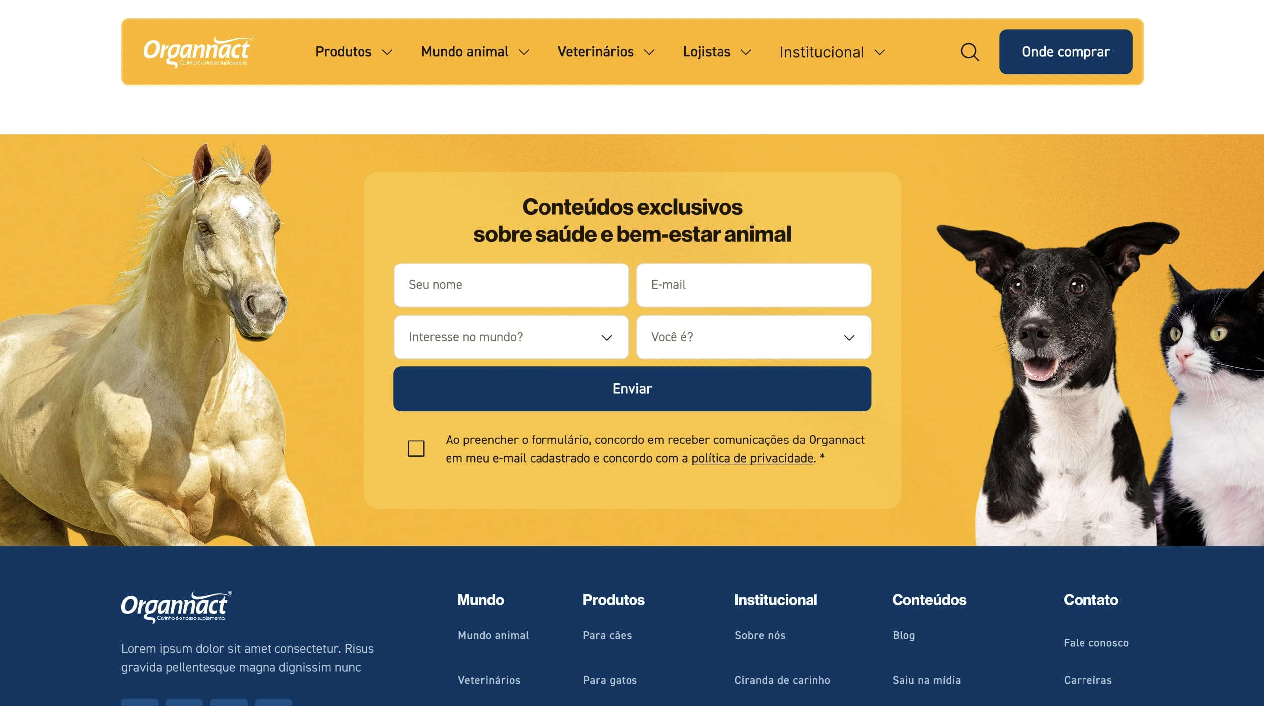 Uma nova casa digital para cada público da Organnact