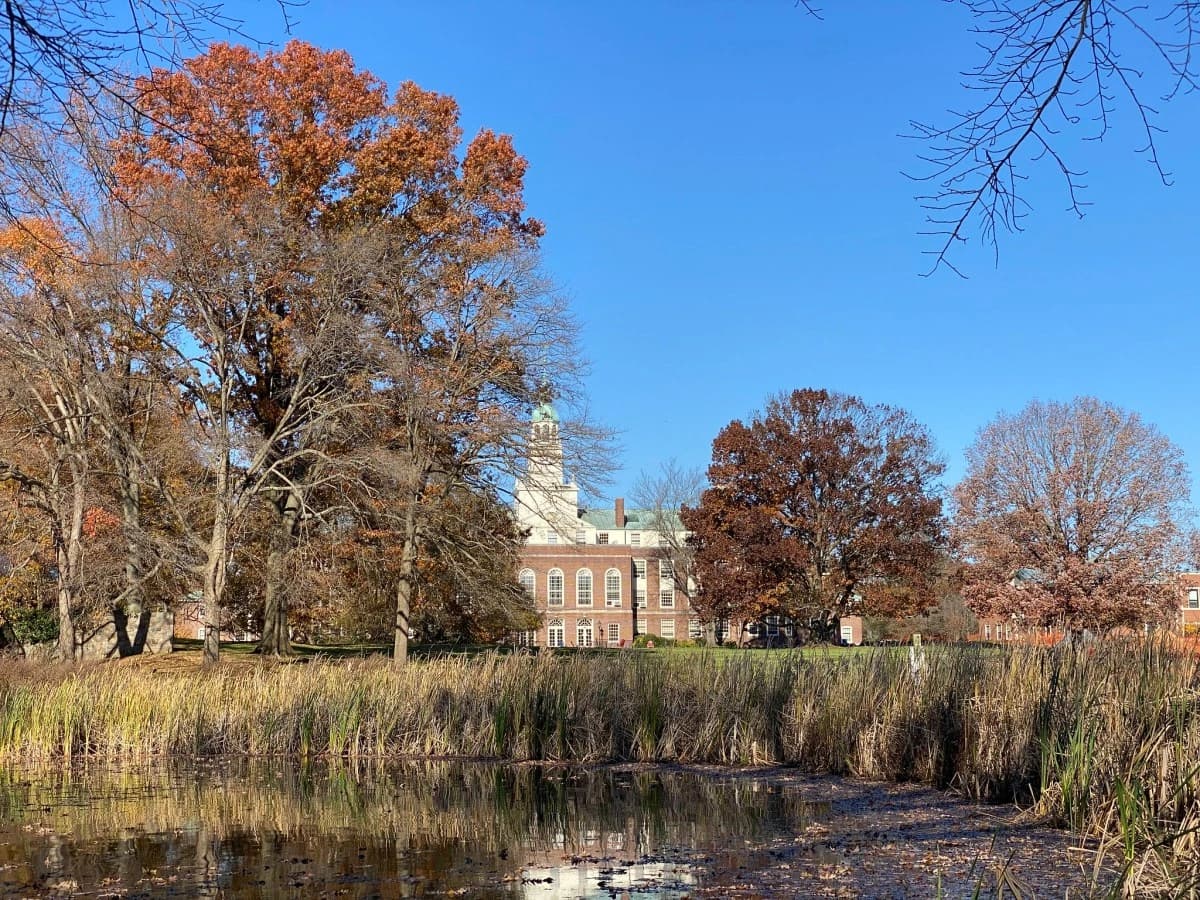 Lago cercado por árvores diante de um edifício de tijolos, imagem usada pelo TechCrunch na reportagem sobre o grupo de matemática da OpenAI