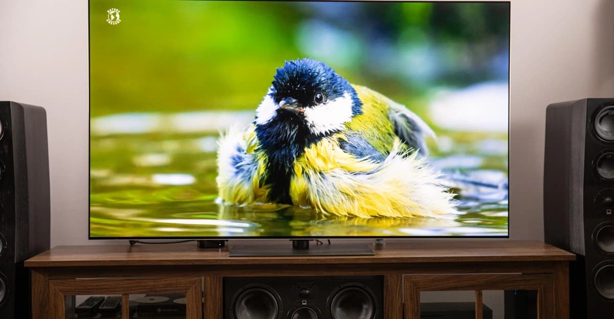 Televisor LG em uma sala, usado para ilustrar coleta de dados em smart TVs