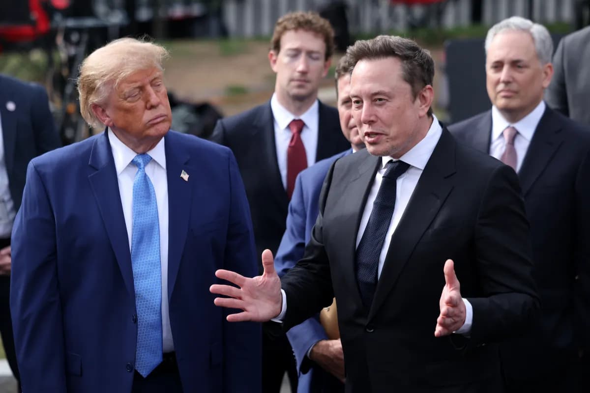 Imagem de Elon Musk associada à conta de publicidade de um documentário no TikTok