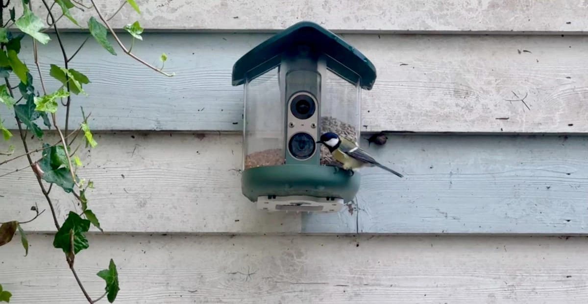 Alimentador inteligente com câmera instalado em um jardim