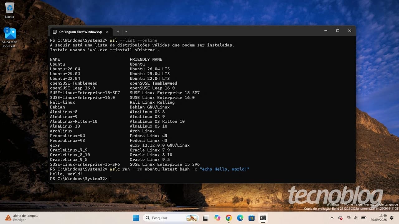 Tela do WSL Containers para Windows 11 exibindo comandos de contêiner no terminal.